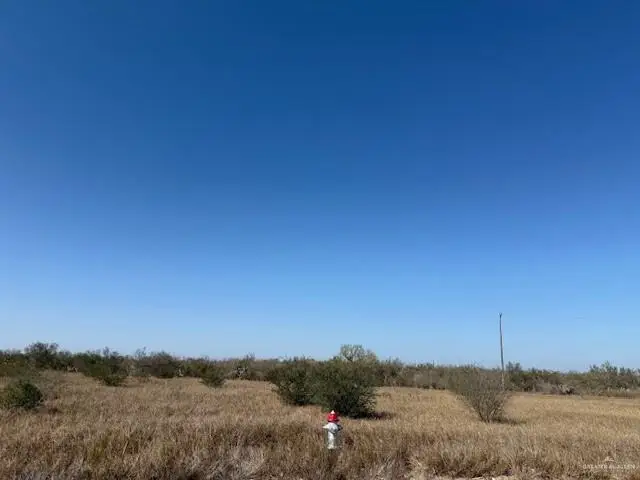 00 Eisenhower Road, Rio Grande City, TX 78582 - Image #3