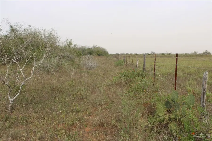 0 Fm 2294 Road, San Isidro, TX 78588 - Image #2