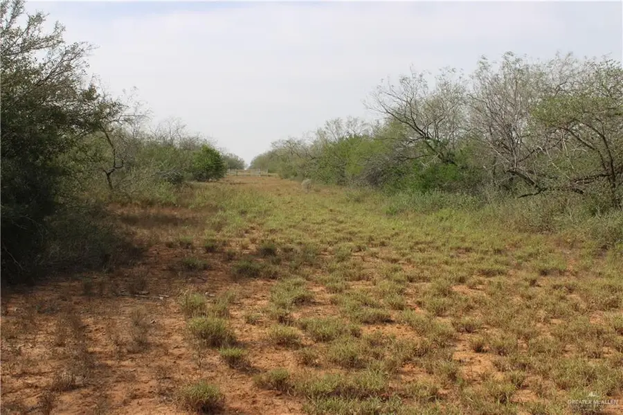 0 Fm 2294 Road, San Isidro, TX 78588 - Image #3