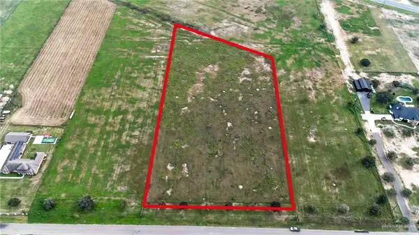 23540 Oak Hill Drive, Monte Alto, TX 78538