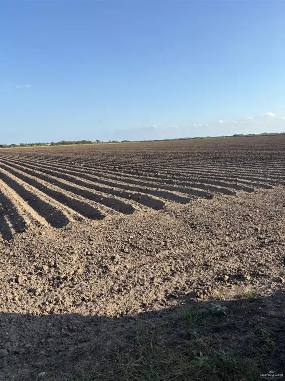 15 1/2 & N Fm 493 Road, Donna, TX 78537