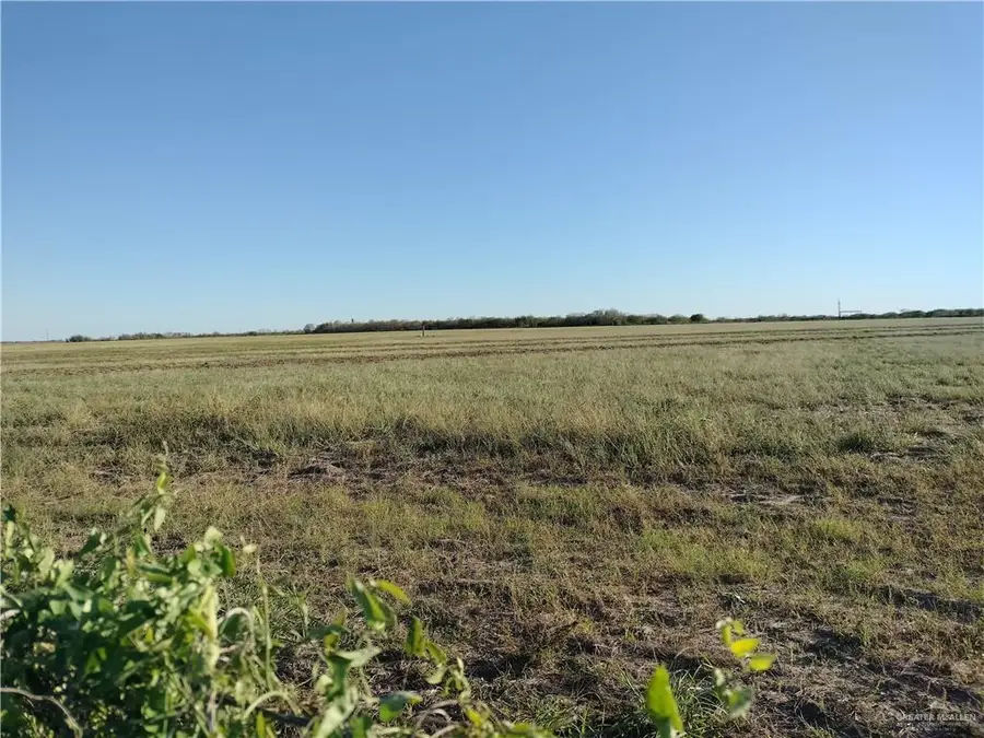 002 Fm 186 Road, La Grulla, TX 78561 - #3