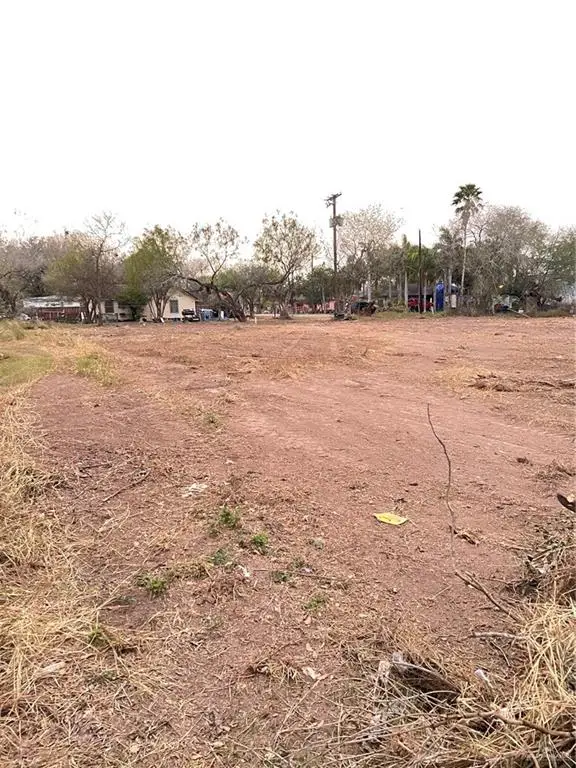 TBD Lyons Street, Progreso, TX 78596 - Image #1