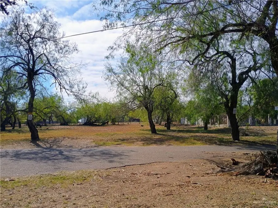 972 S Kika De La Garza Boulevard, La Joya, TX 78560 - Image #3