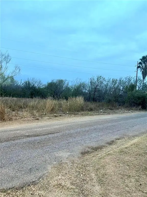 312 E Dolphin Street, Roma, TX 78584