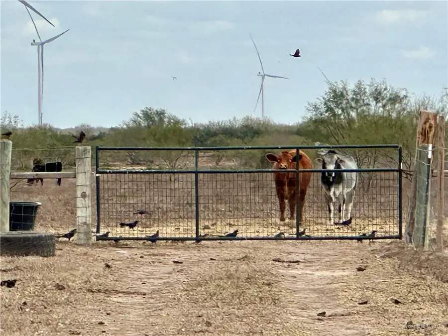 28186 N Fm 2058, Edinburg, TX 78541 - Image #3