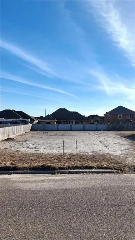 404 River Crest Street, Rio Grande City, TX 78582 - #2