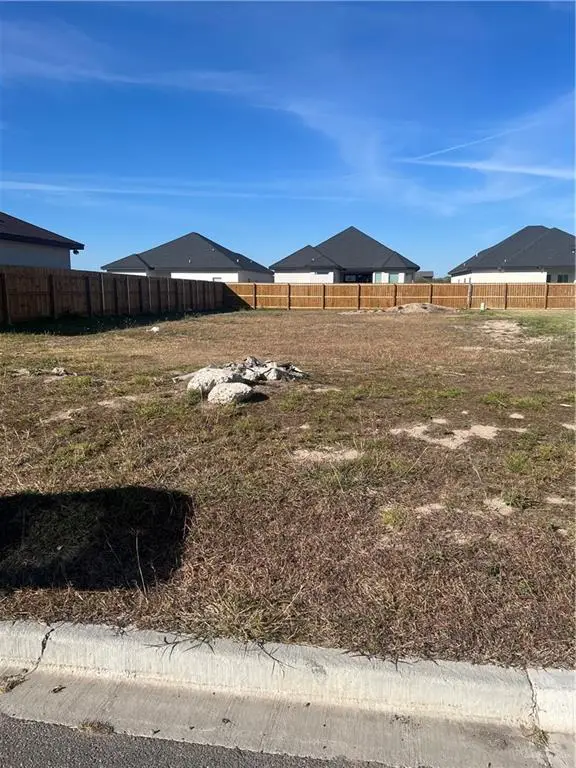 1020 W Riviera Lane, Edinburg, TX 78541 - #1