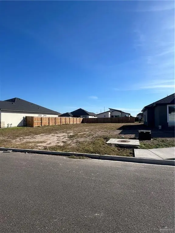 1021 W Riviera Lane, Edinburg, TX 78541 - #1