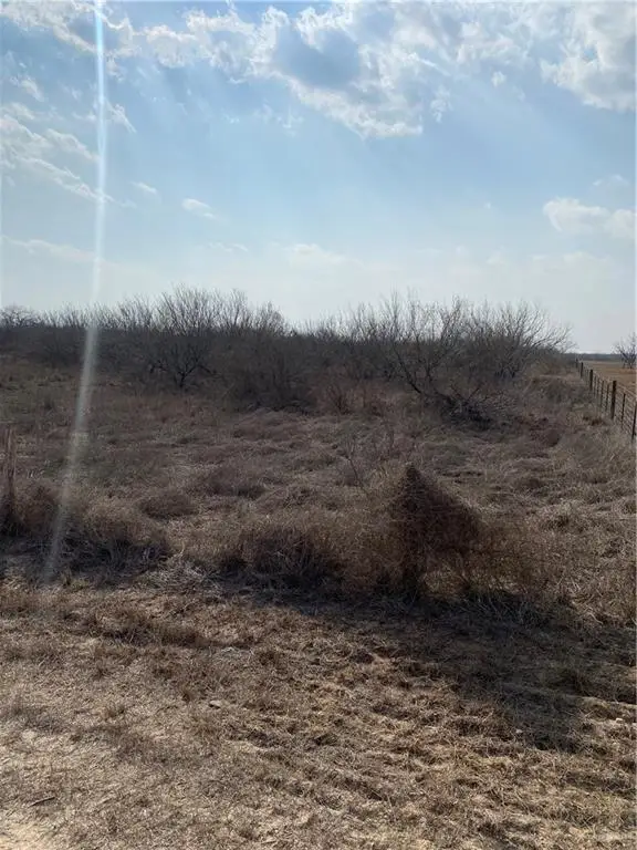 0 Cr 218 Road, Falfurrias, TX 78355 - #1