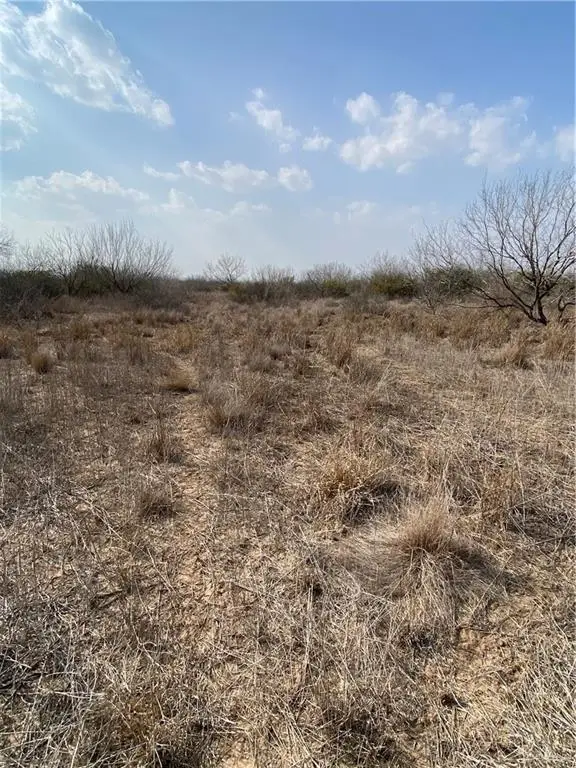 0 Cr 218 Road, Falfurrias, TX 78355 - #3