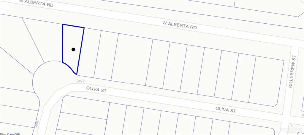 2407 Oliva Street, Edinburg, TX 78539 - #1