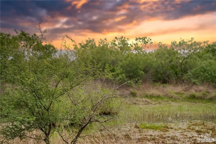 498 Brooks County Road 406, Falfurrias, TX 78355 - #3