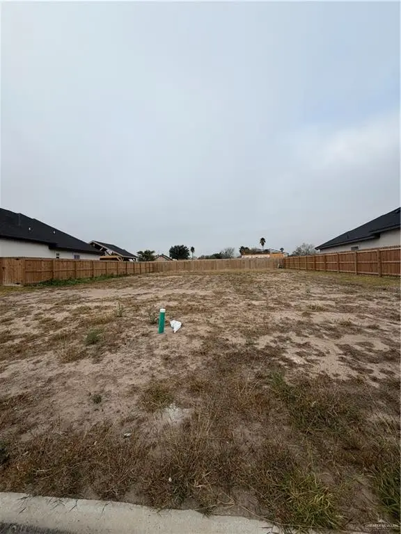 3909 Red Lantana Street, Mission, TX 78573