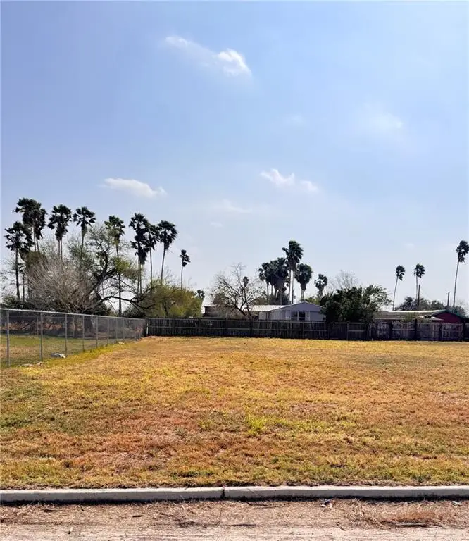 10912 Cantu Drive, Edinburg, TX 78542 - #1