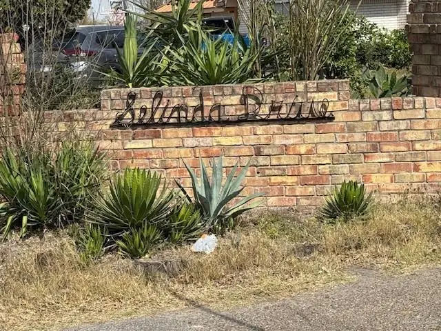 0000 Selinda Drive, McAllen, TX 78504 - #1
