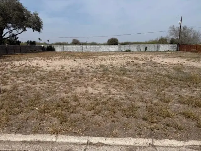 0000 Selinda Drive, McAllen, TX 78504 - #3