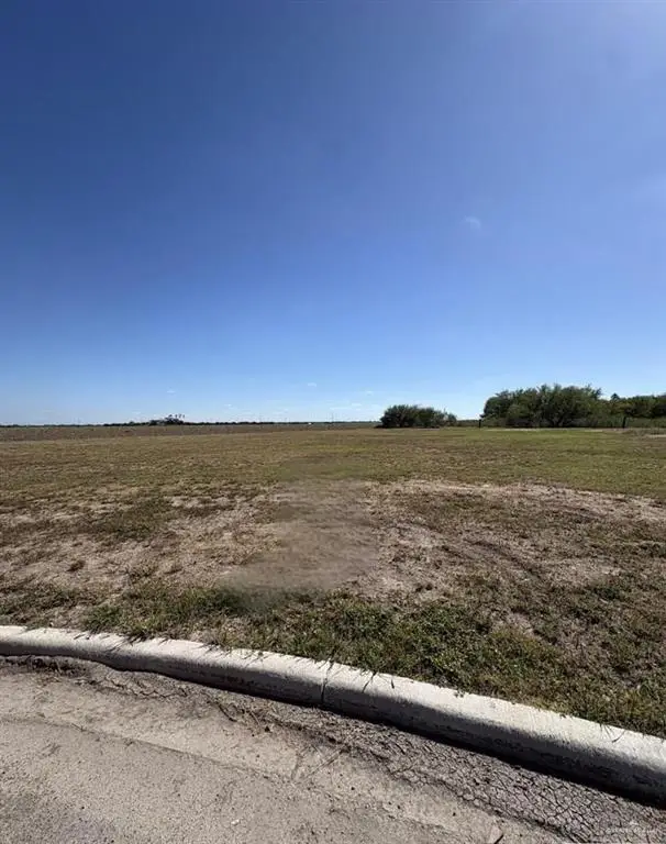 Lot #22 Jordan Drive, La Feria, TX 78559 - #2