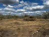 33607 Barlow Road, San Benito, TX 78586 - #2