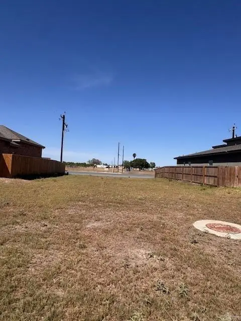 1001 E Costa Del Sol Avenue, Edinburg, TX 78542 - #2