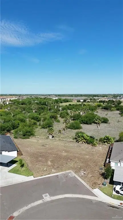 3509 E Zinnia Avenue, Alton, TX 78573 - #2