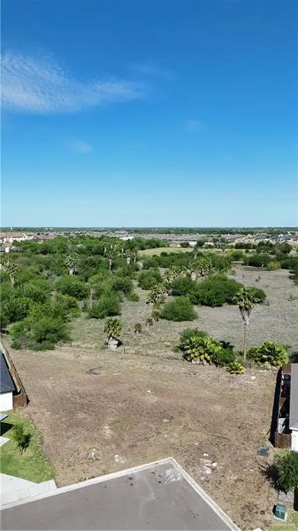 3509 E Zinnia Avenue, Alton, TX 78573 - #3