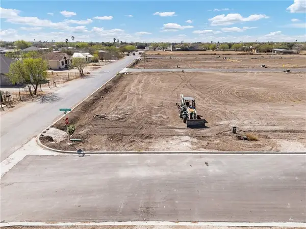 2894 Golden Eagle Street, Roma, TX 78584