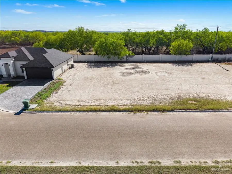 313 River Wood Street, Rio Grande City, TX 78582 - #3