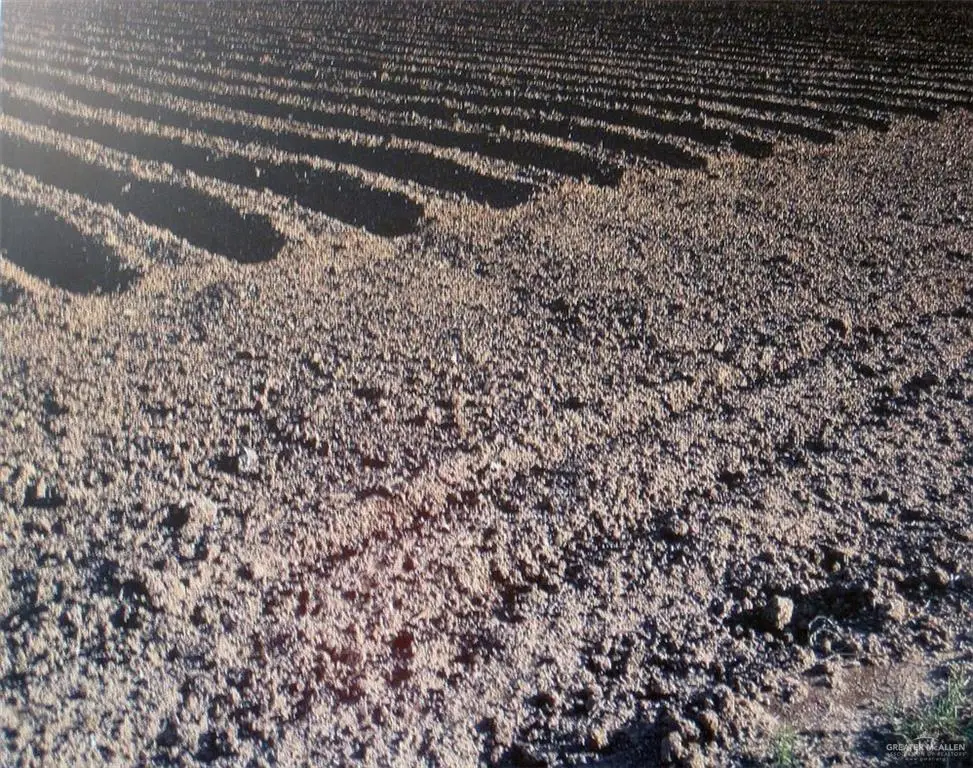 107 E State Highway 107 Highway E, Donna, TX 78537 - #1