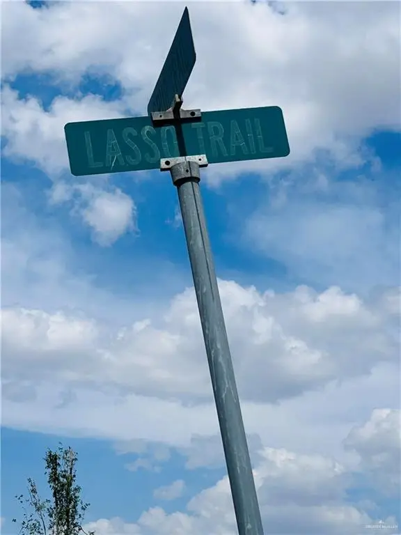 2921 Lasso Trail, Edinburg, TX 78541 - #3