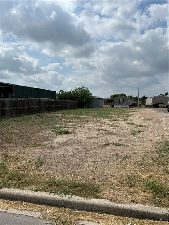 3015 W Mimosa Drive, Weslaco, TX 78596 - #3