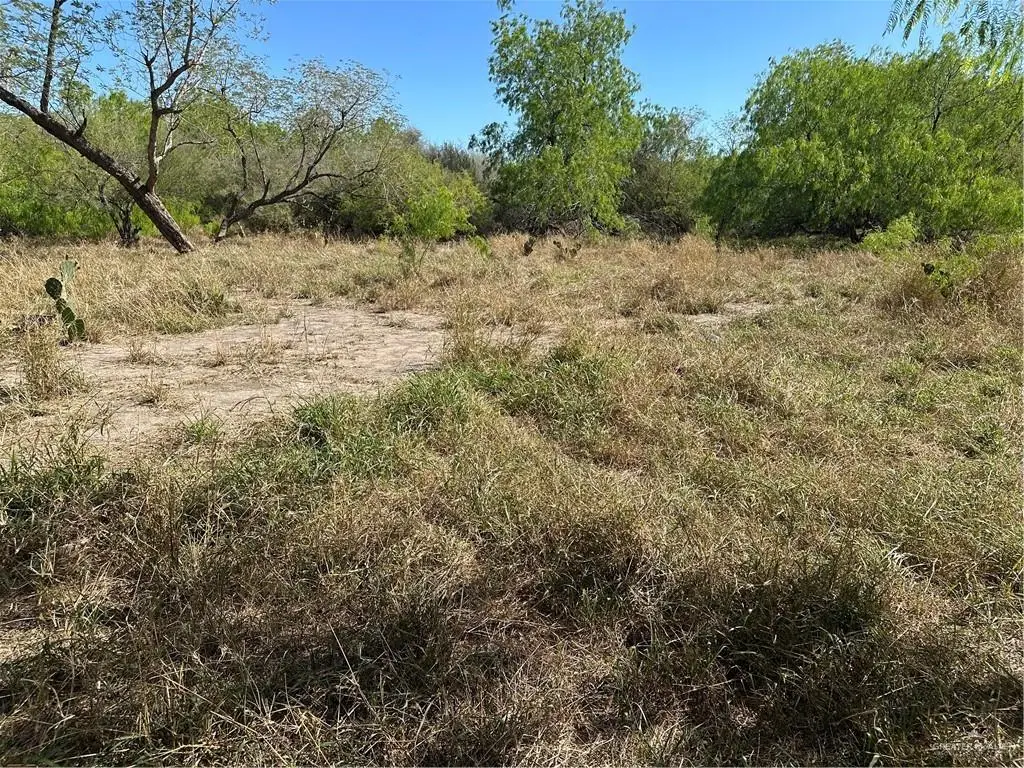 690 Franklin Street, Harlingen, TX 78550 - #1