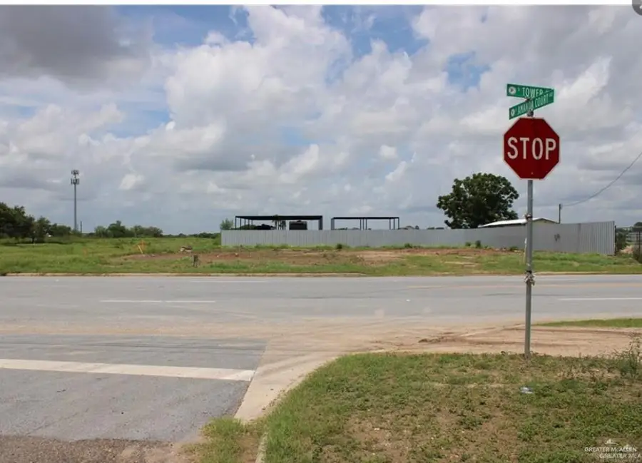 1143 S Tower Road S, Alamo, TX 78516 - #3