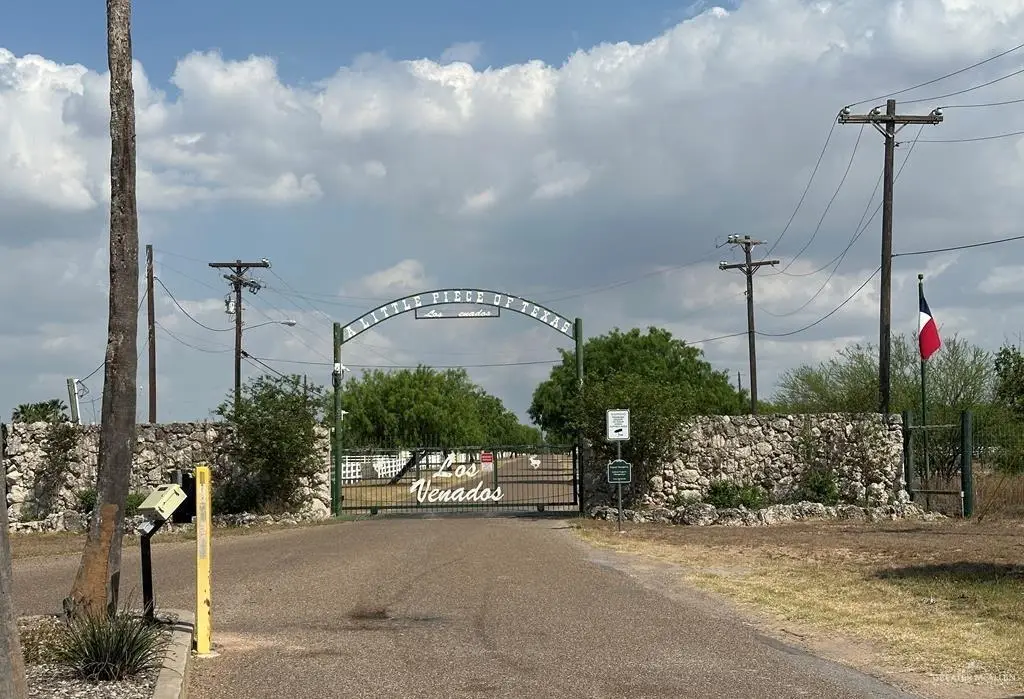 34313 Buck Fawn Drive, Edinburg, TX 78541 - #1