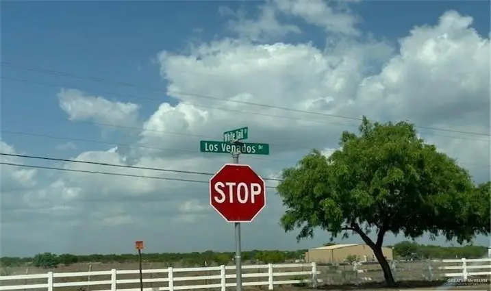 34313 Buck Fawn Drive, Edinburg, TX 78541 - #3
