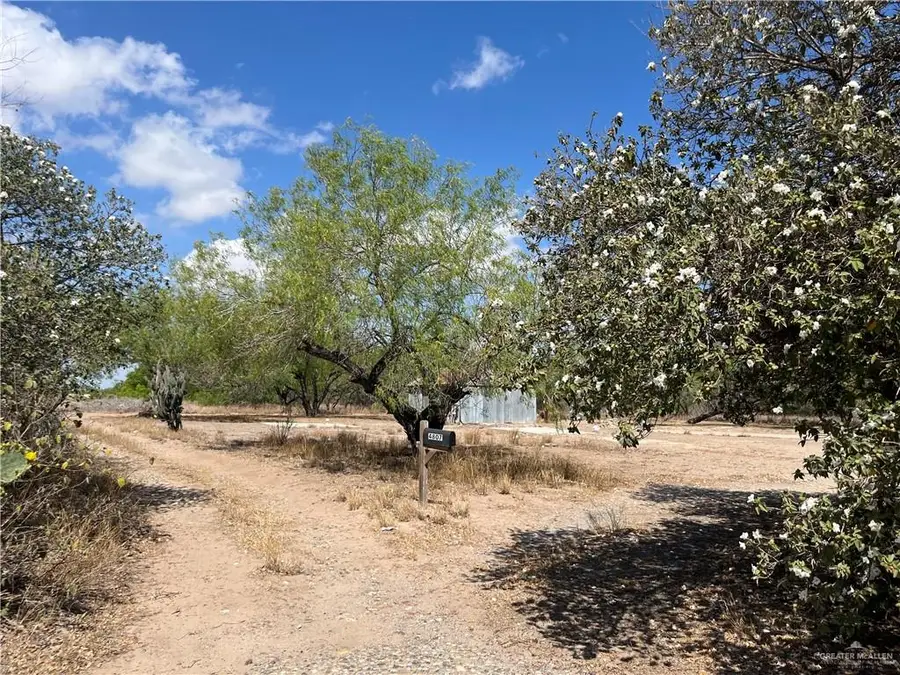 4807 N Mayberry Road, Mission, TX 78573 - #2