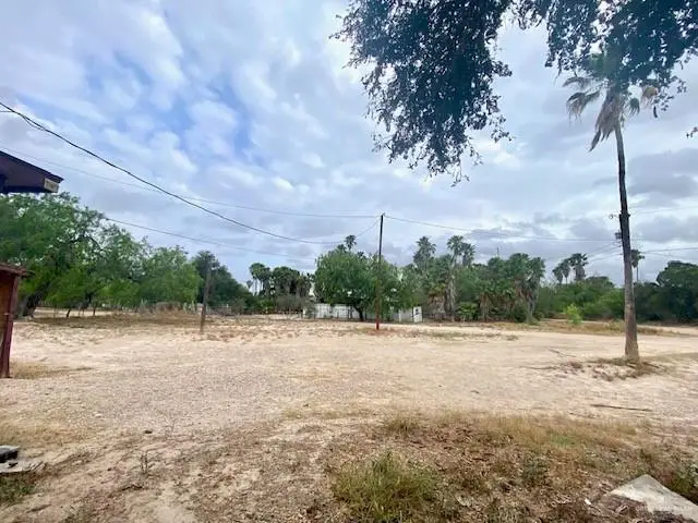 1006 Vela Jackson Avenue #B, La Joya, TX 78560 - #2