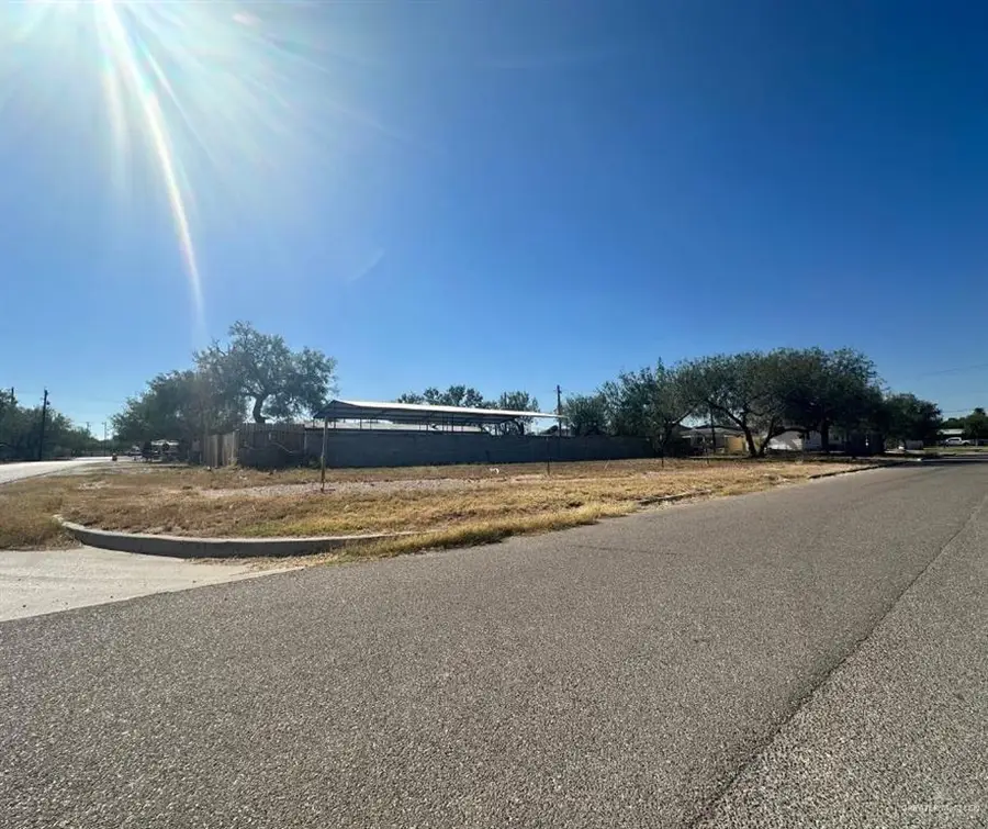 108 Gomez Street, Rio Grande City, TX 78582 - #3