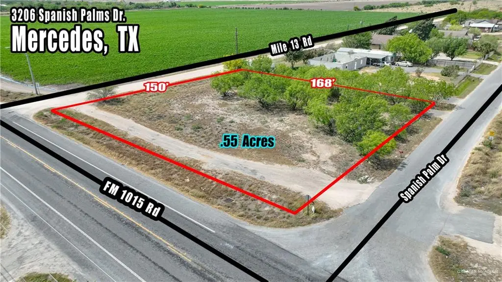 3206 S Spanish Palms Drive, Mercedes, TX 78570 - #1