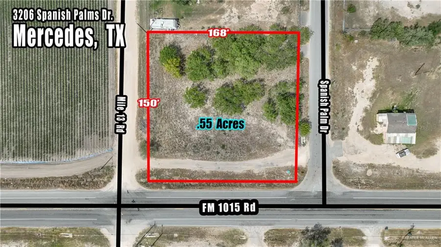 3206 S Spanish Palms Drive, Mercedes, TX 78570 - #3