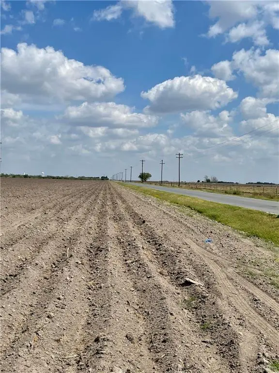 TBD N Mile 16 Road E, Elsa, TX 78543 - #3