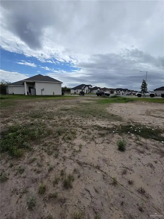 3800 E Diamond Head, Alton, TX 78573 - #2