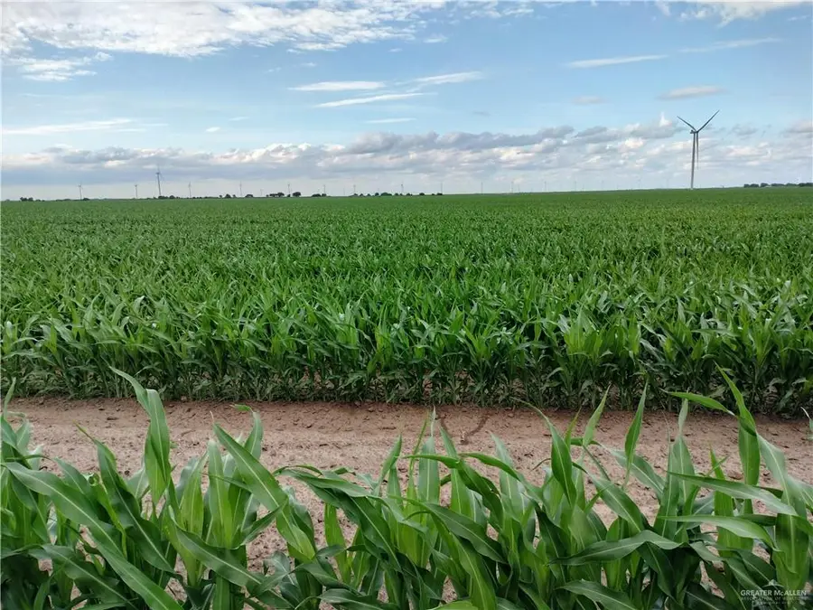 17430 Fm 498 Highway, Lyford, TX 78569 - #2