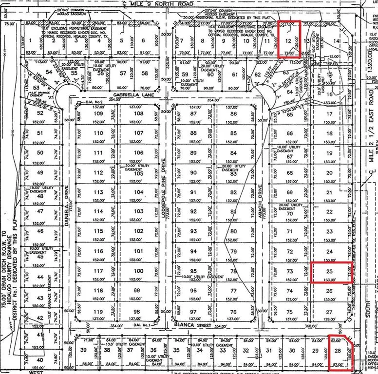 10817 Mile 2 1/2 E Road, Mercedes, TX 78570 - #2