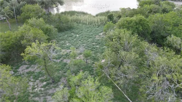 0 Moon Lake Drive S Drive, Weslaco, TX 78596