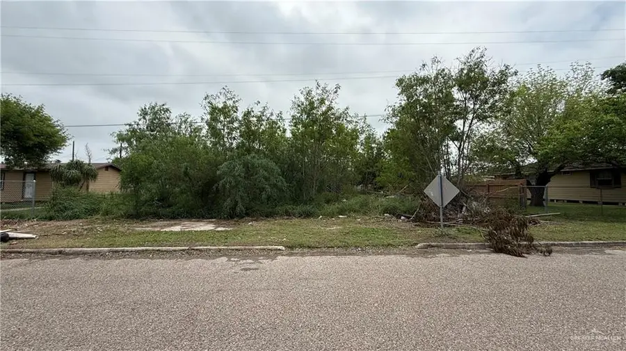 425 N Magnolia Street, La Villa, TX 78572 - #2