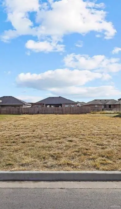 8721 Spoonbill Street, Harlingen, TX 78550 - #3