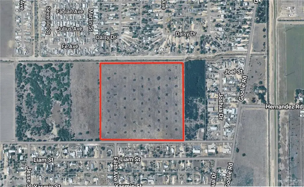 00 Earling Road, Donna, TX 78537 - #1