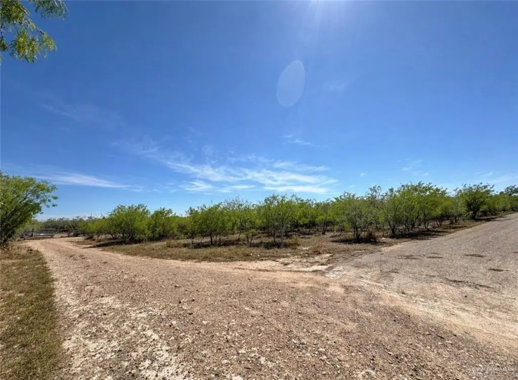 00 Tuna Street, Roma, TX 78584 - #1