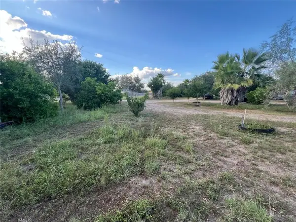 9914 Cibolo Drive, Edinburg, TX 78542